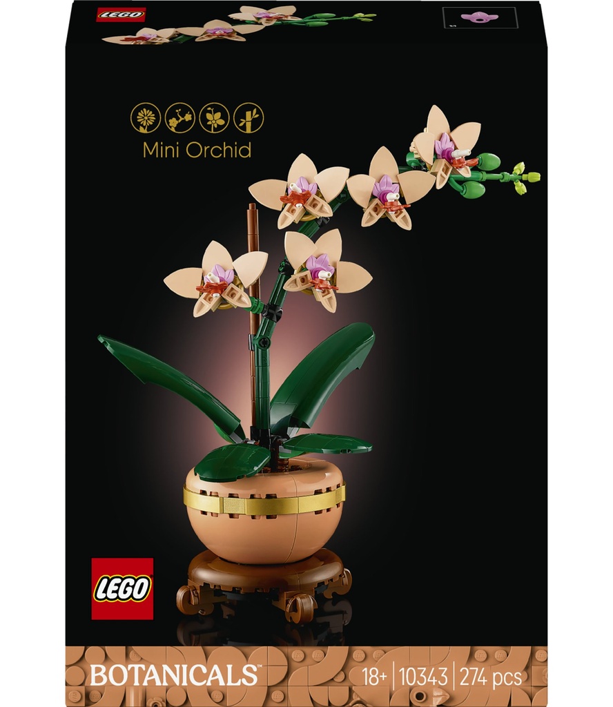 [5702017814643] Mini-Orchidee