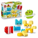 3-in-1 Kreative Tiere