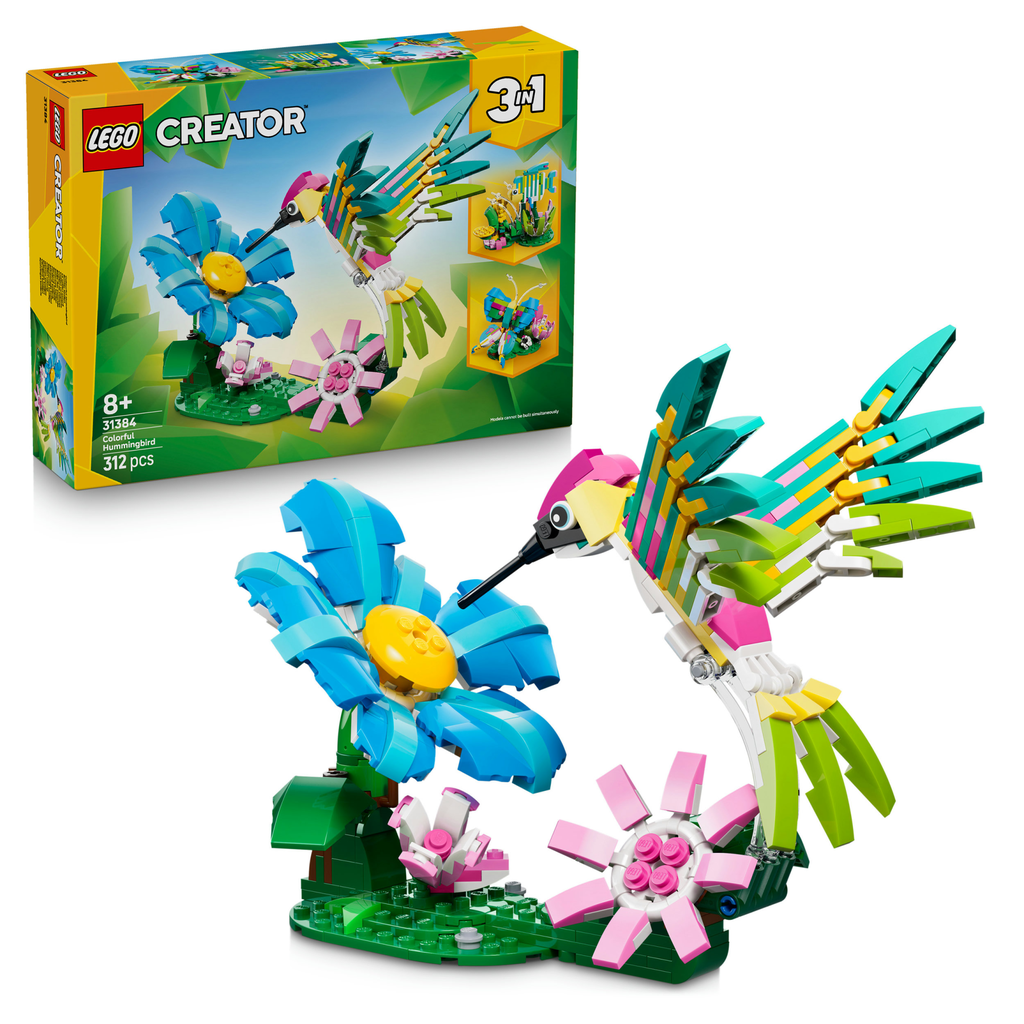 Wilde Tiere: Bunter Kolibri