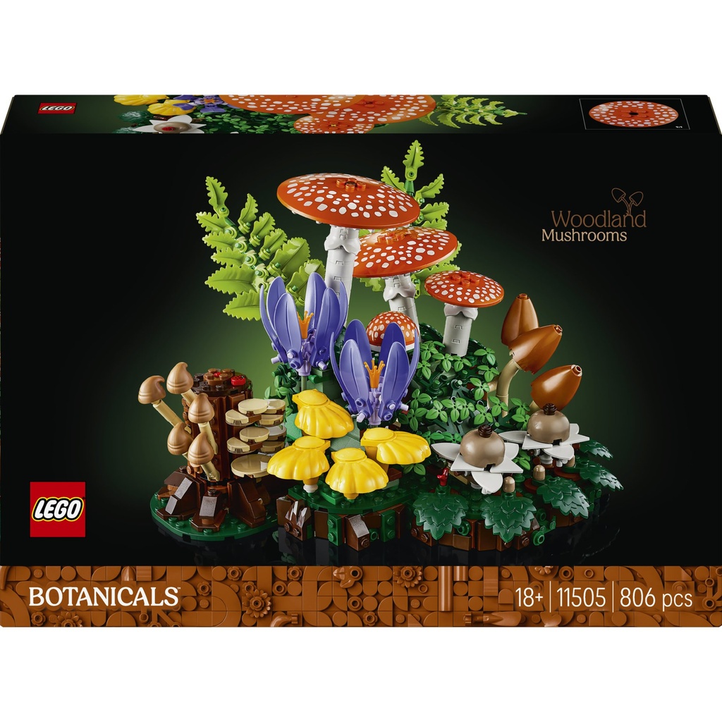 [5702018061800] Waldpilze