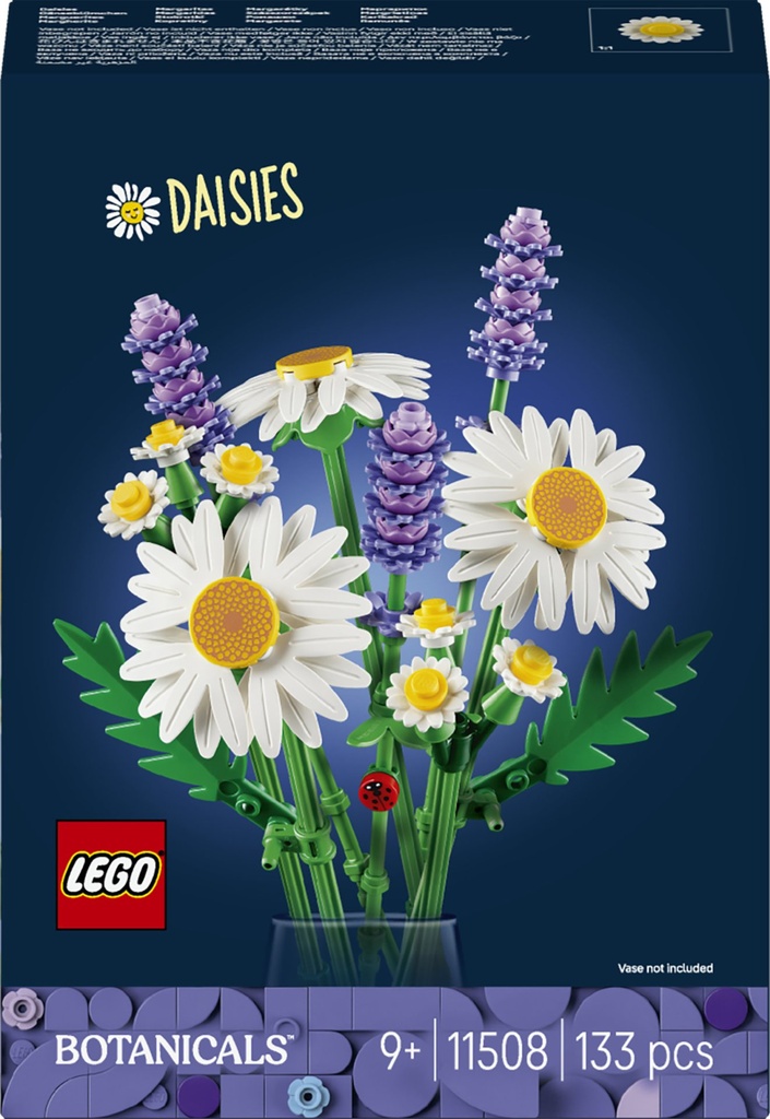 [5702018061831] Gänseblümchen