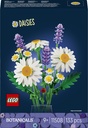 Gänseblümchen