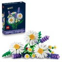 Gänseblümchen