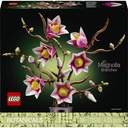 Magnolienzweige