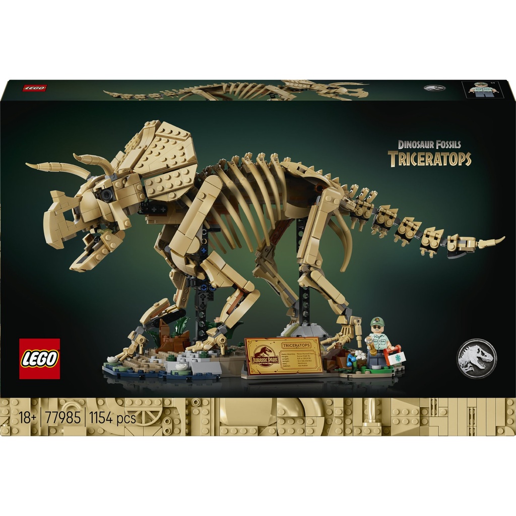 [5702018062708] Dinosaurier-Fossilien: Triceratops