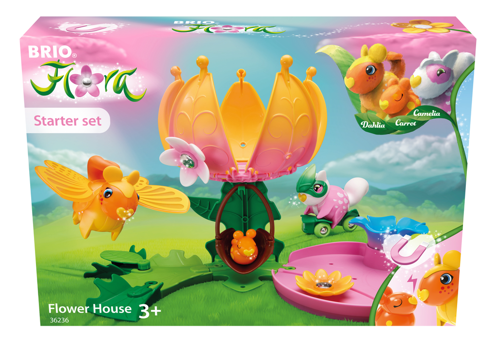 Starter-Set Blumenhaus