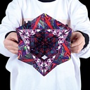 Shashibo Magnetwürfel Künstler-Serie – Chaos