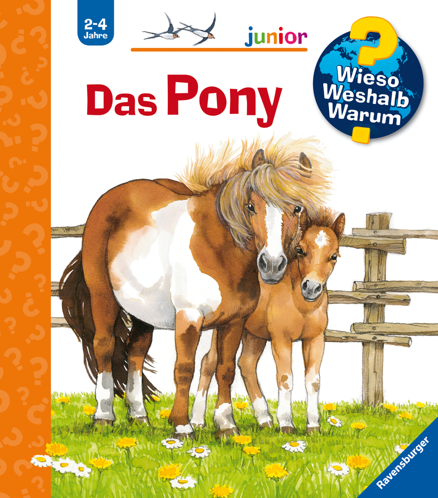 Das Pony