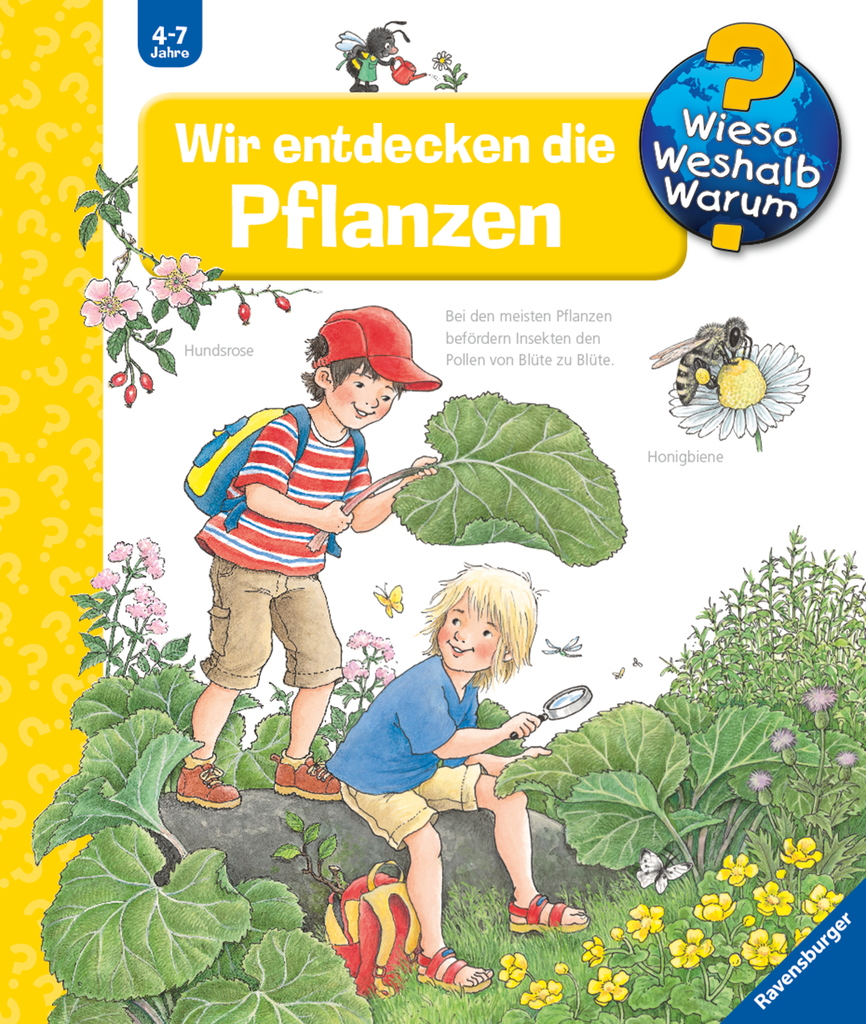 Wir entdecken die Pflanzen
