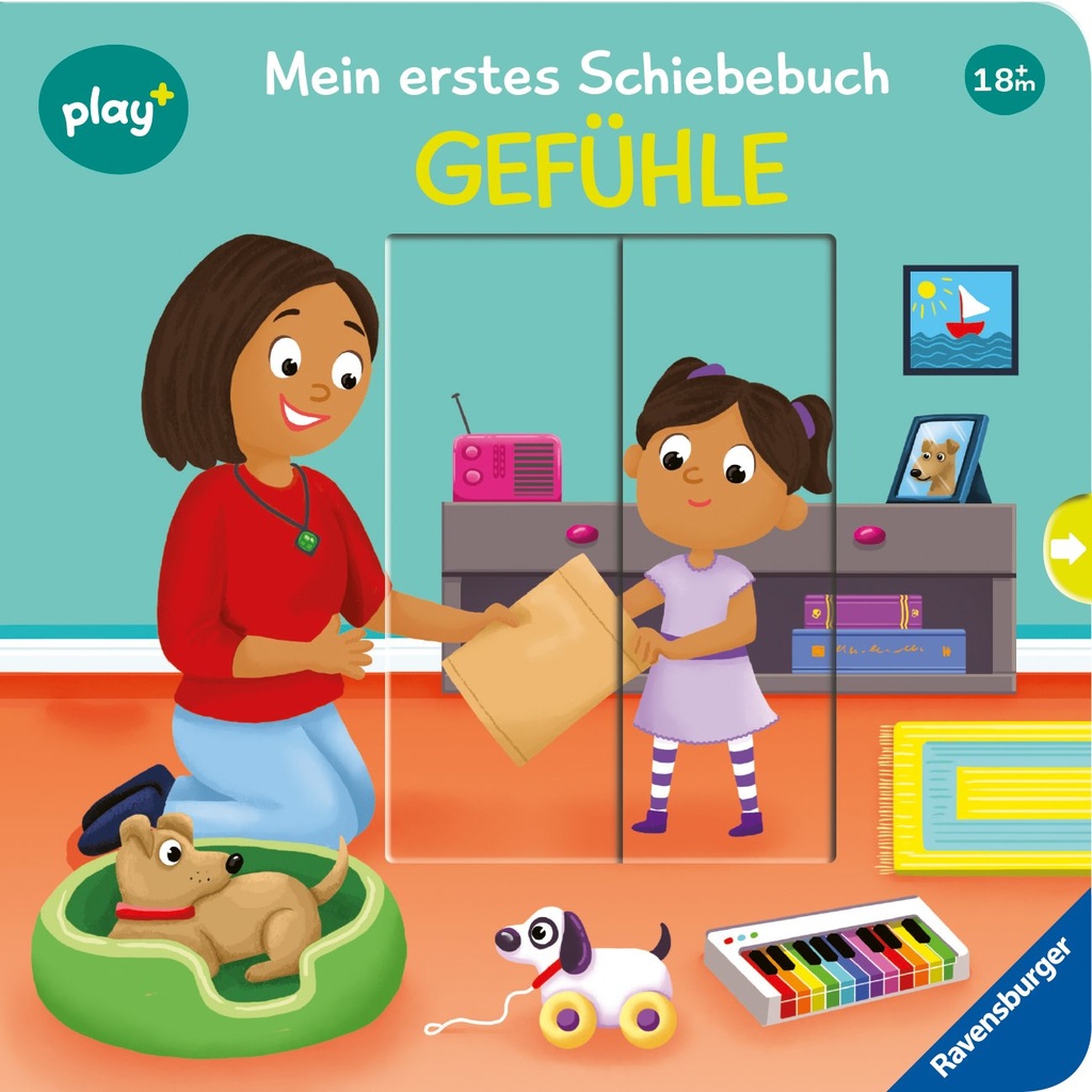 Schiebebuch: Gefühle