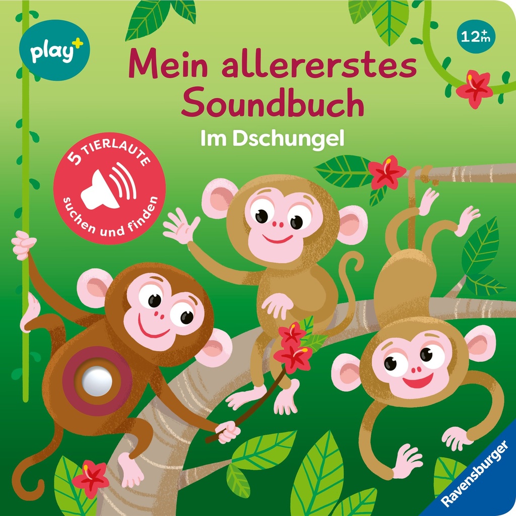 Aller1. Soundbuch: Dschungel